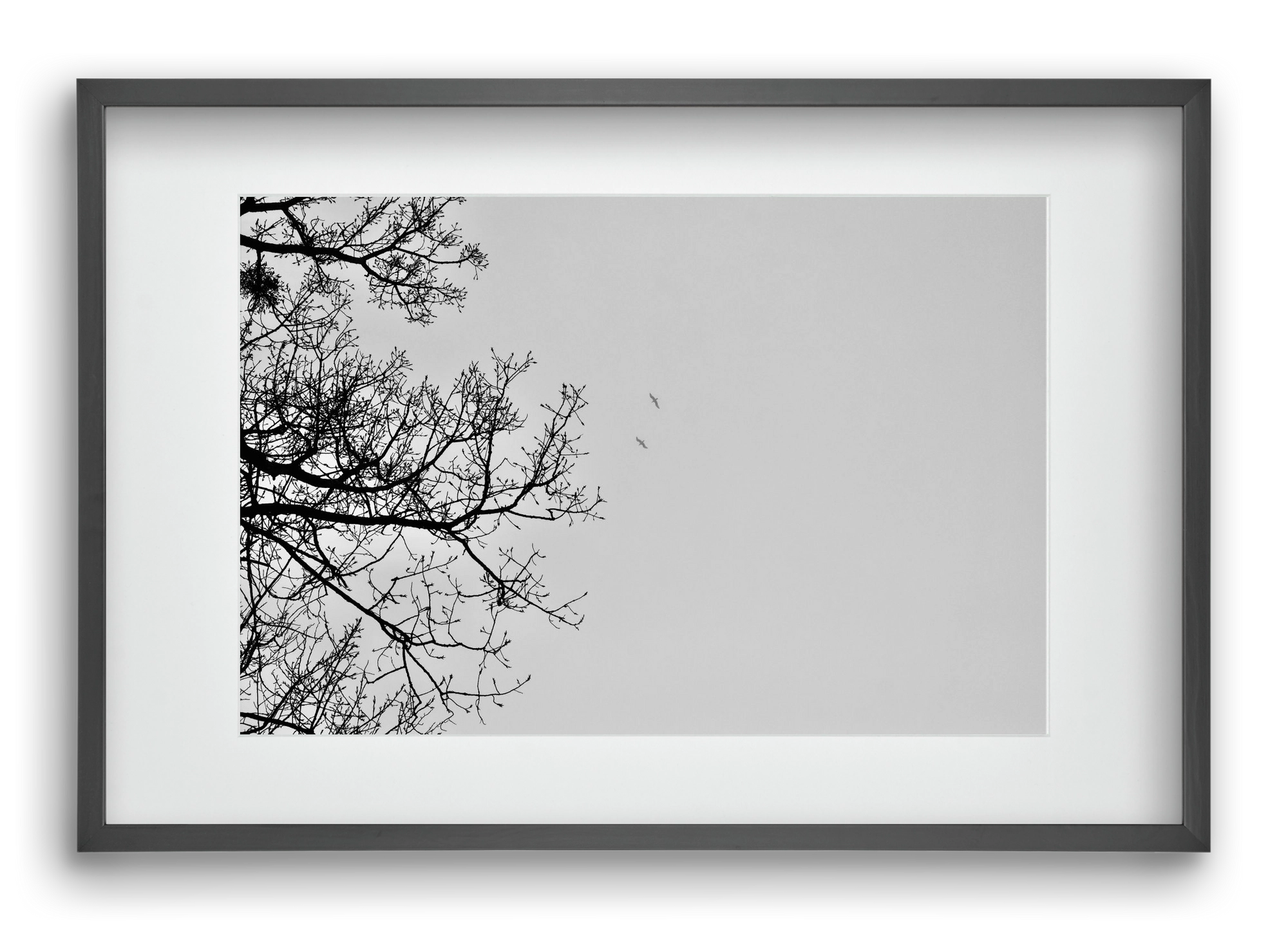 Living balance, 60x40 cm (45x30 cm), Fekete keret, paszpartuval