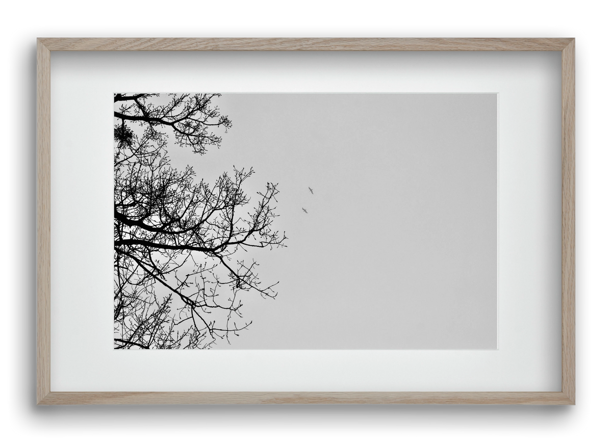 Living balance, 60x40 cm (45x30 cm), Tölgy keret, paszpartuval