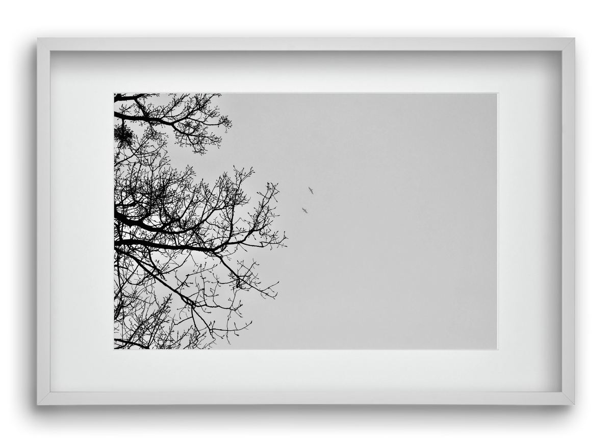 Living balance, 60x40 cm (45x30 cm), Fehér keret, paszpartuval