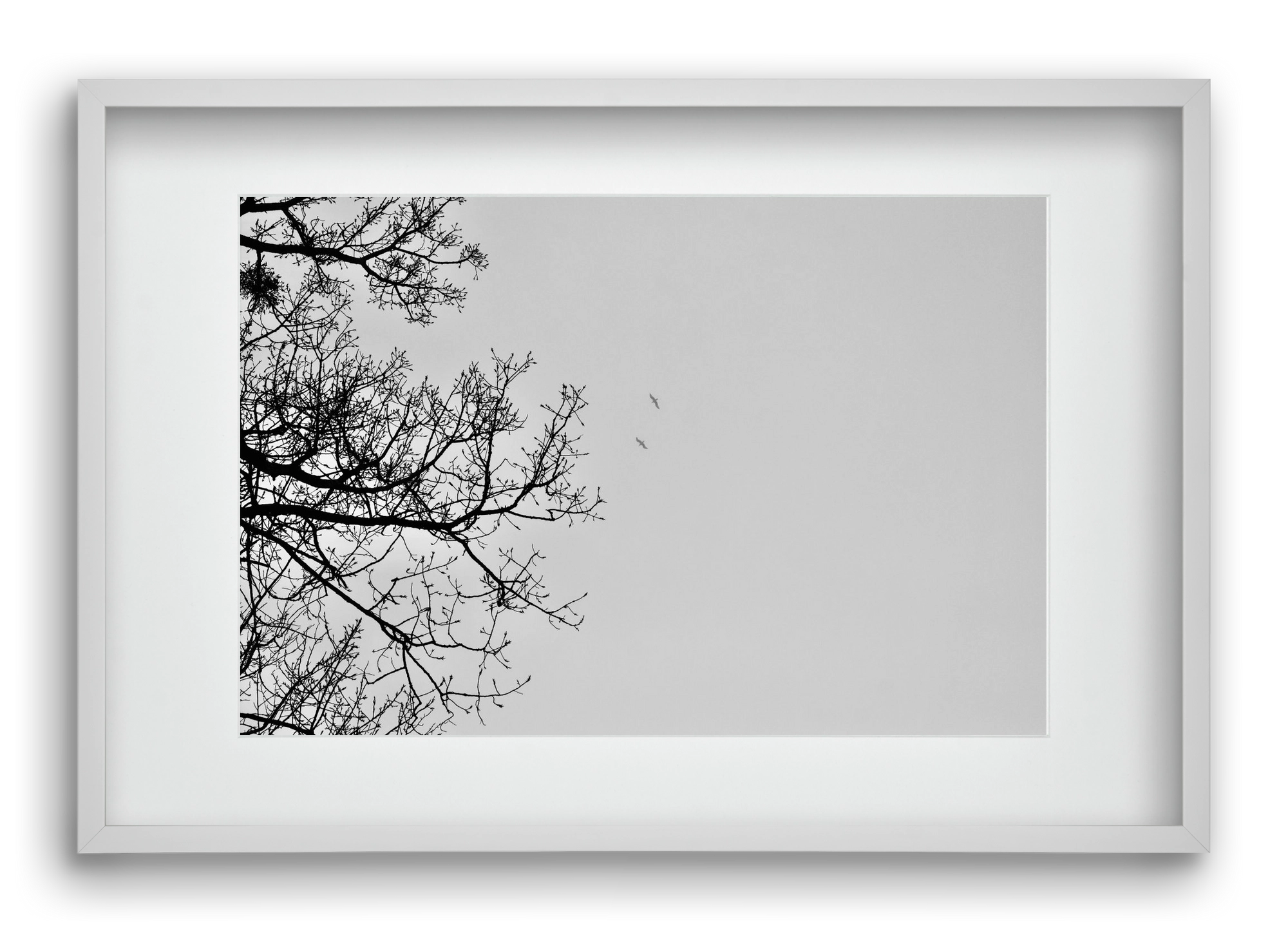 Living balance, 60x40 cm (45x30 cm), Fehér keret, paszpartuval