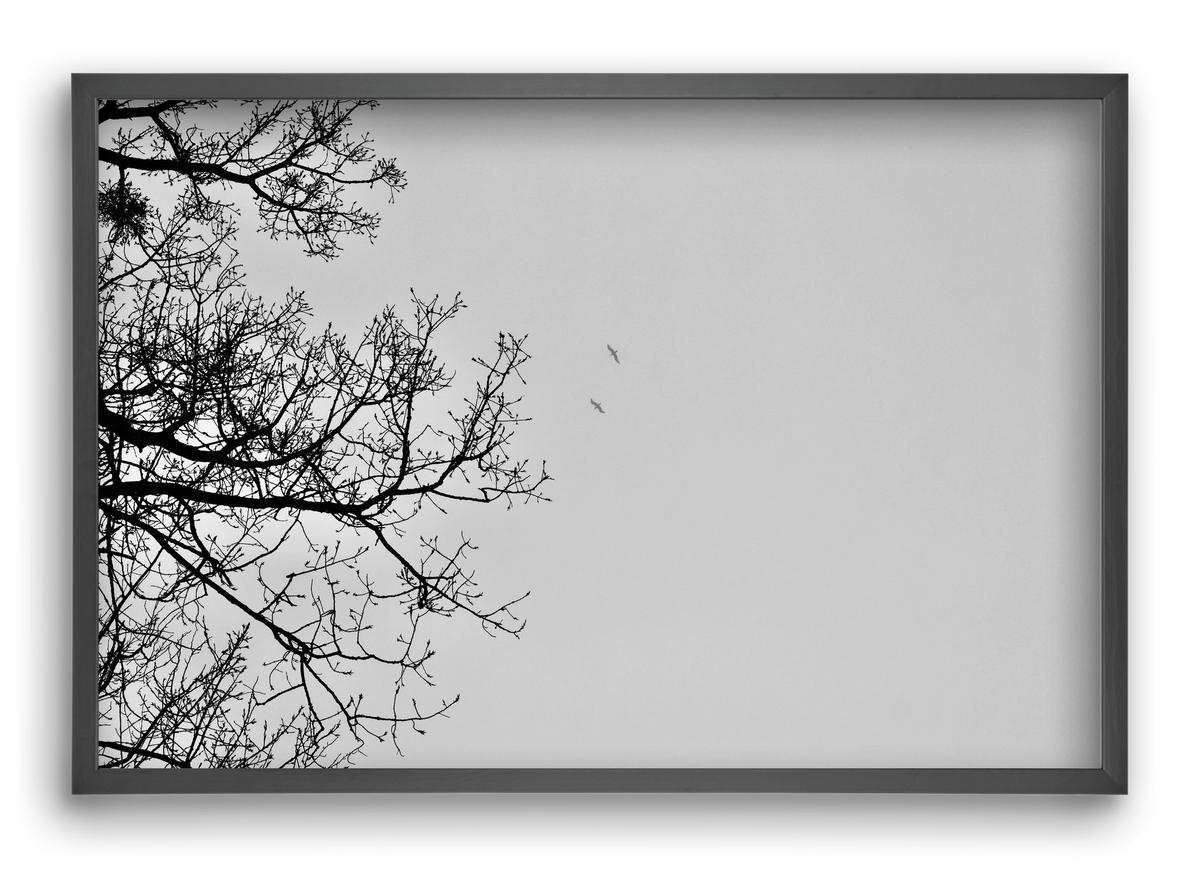 Living balance, 60x40 cm (60x40 cm), Fekete keret