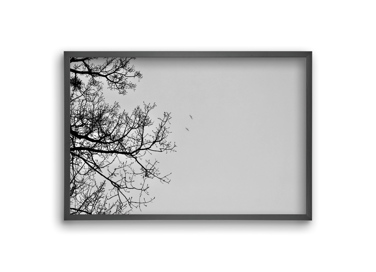 Living balance, 30x20 cm (30x20 cm), Fekete keret