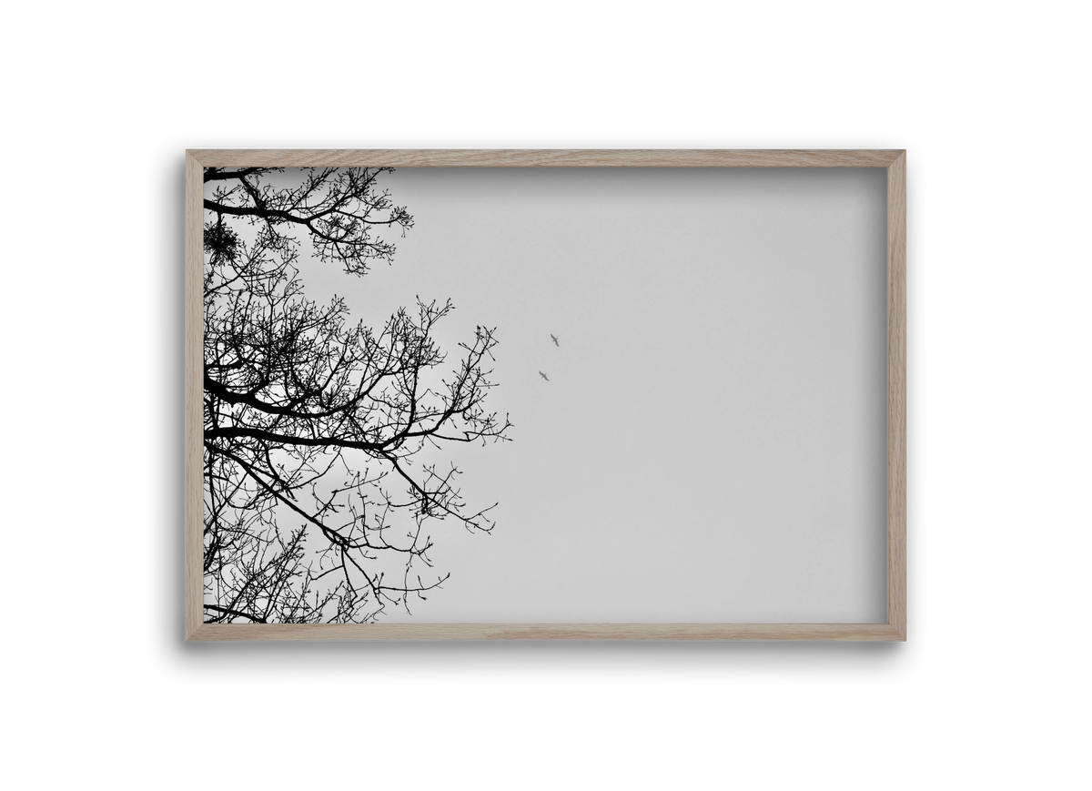 Living balance, 30x20 cm (30x20 cm), Tölgy keret