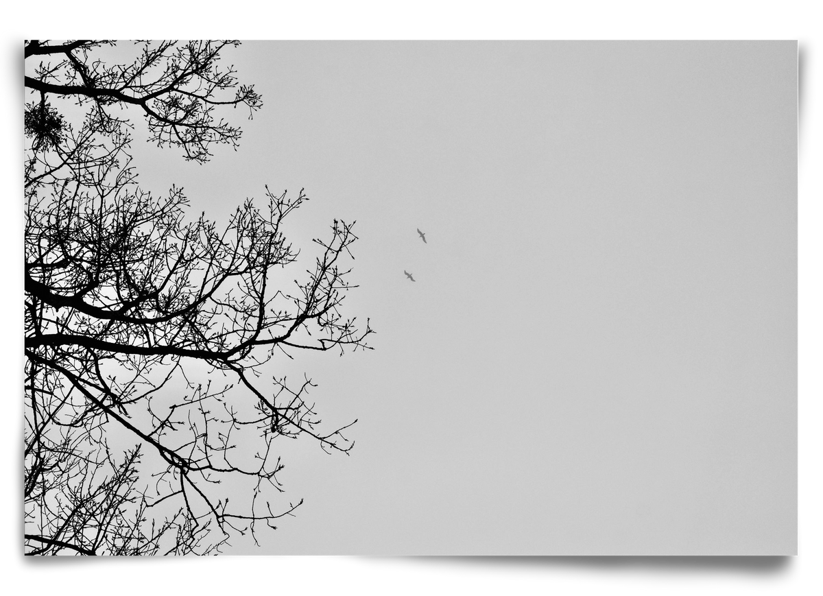 Living balance, 90x60 cm, Keret nélkül