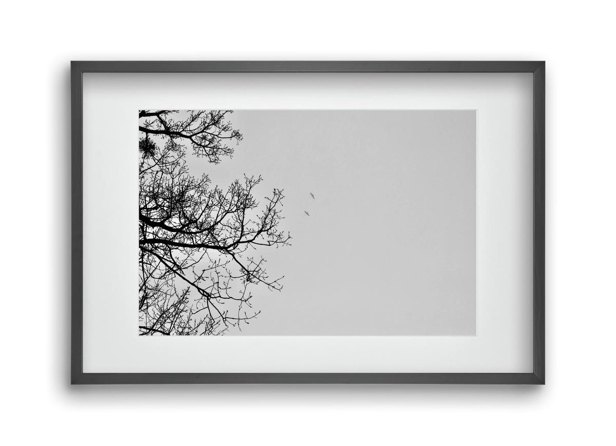 Living balance, 45x30 cm (30x20 cm), Fekete keret, paszpartuval