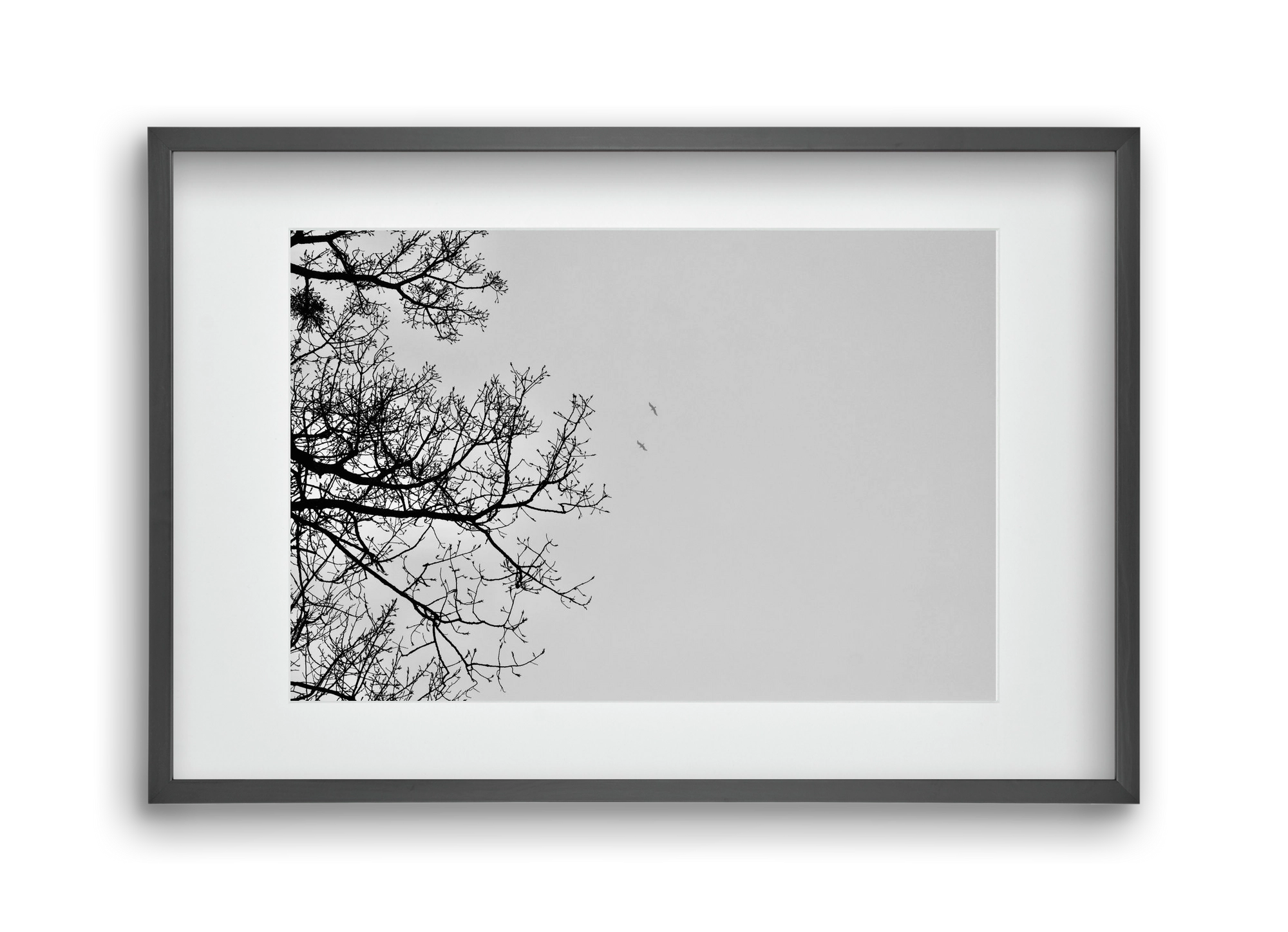 Living balance, 45x30 cm (30x20 cm), Fekete keret, paszpartuval