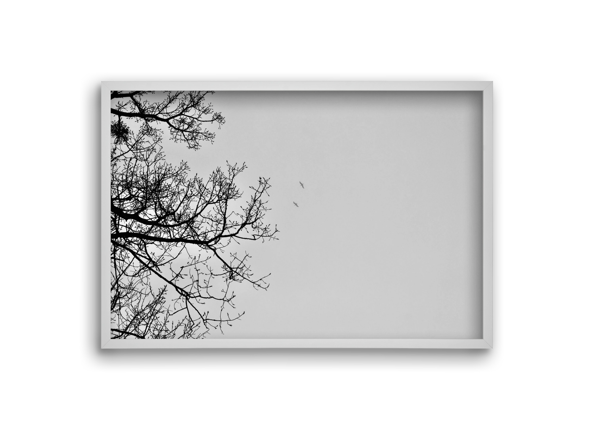 Living balance, 30x20 cm (30x20 cm), Fehér keret