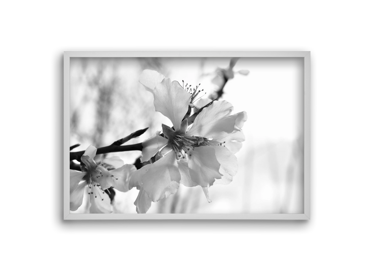 White-handed, 30x20 cm (30x20 cm), Fehér keret