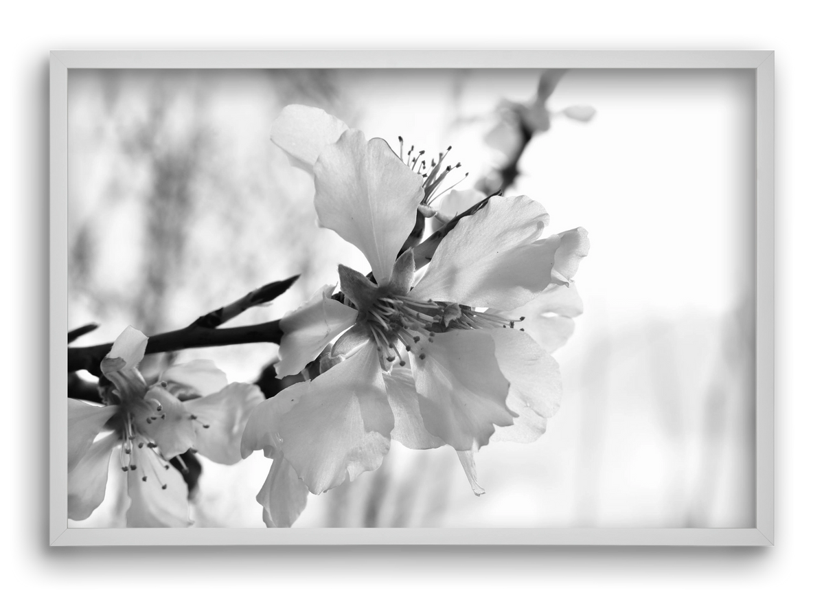 White-handed, 60x40 cm (60x40 cm), Fehér keret