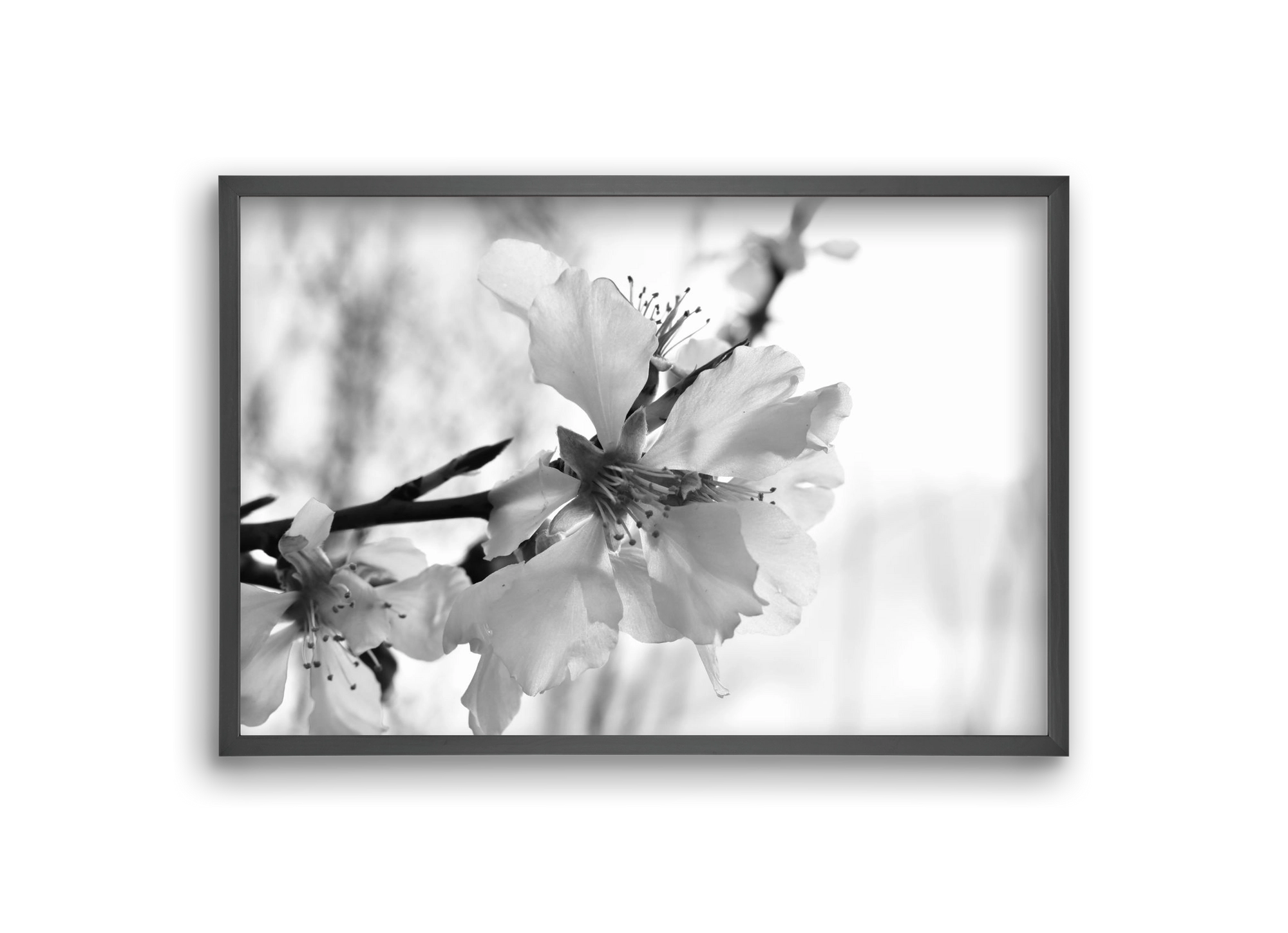 White-handed, 30x20 cm (30x20 cm), Fekete keret