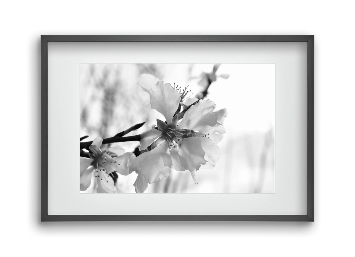 White-handed, 45x30 cm (30x20 cm), Fekete keret, paszpartuval