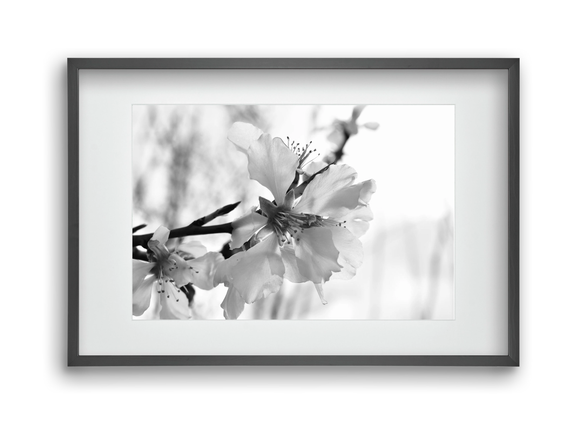 White-handed, 45x30 cm (30x20 cm), Fekete keret, paszpartuval