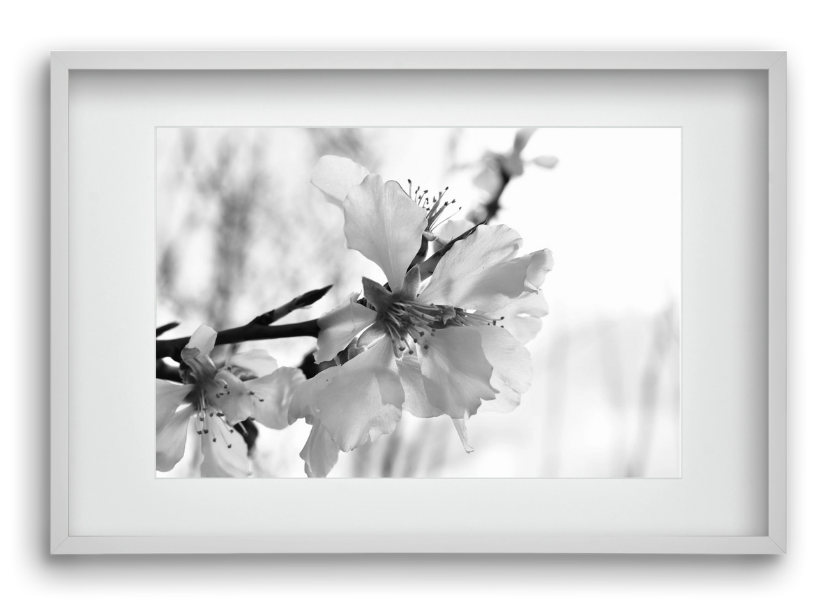 White-handed, 60x40 cm (45x30 cm), Fehér keret, paszpartuval