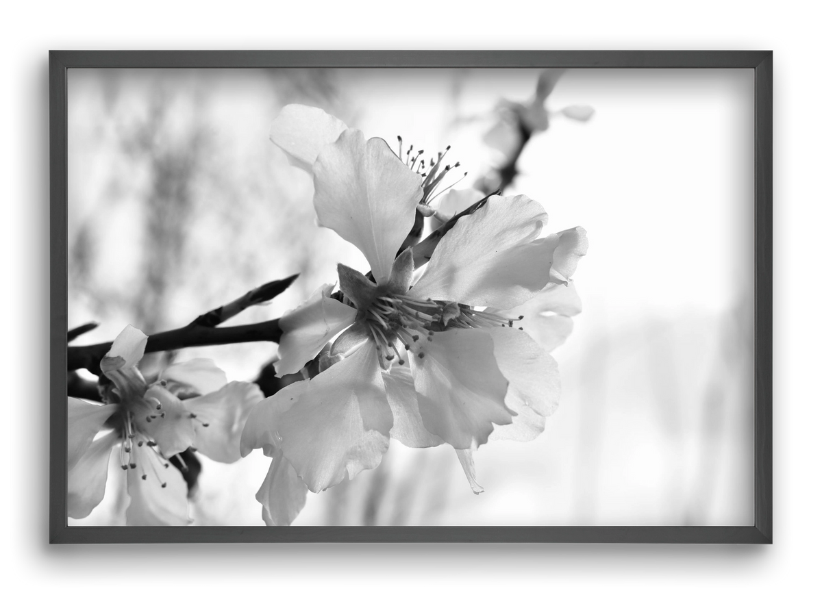 White-handed, 60x40 cm (60x40 cm), Fekete keret