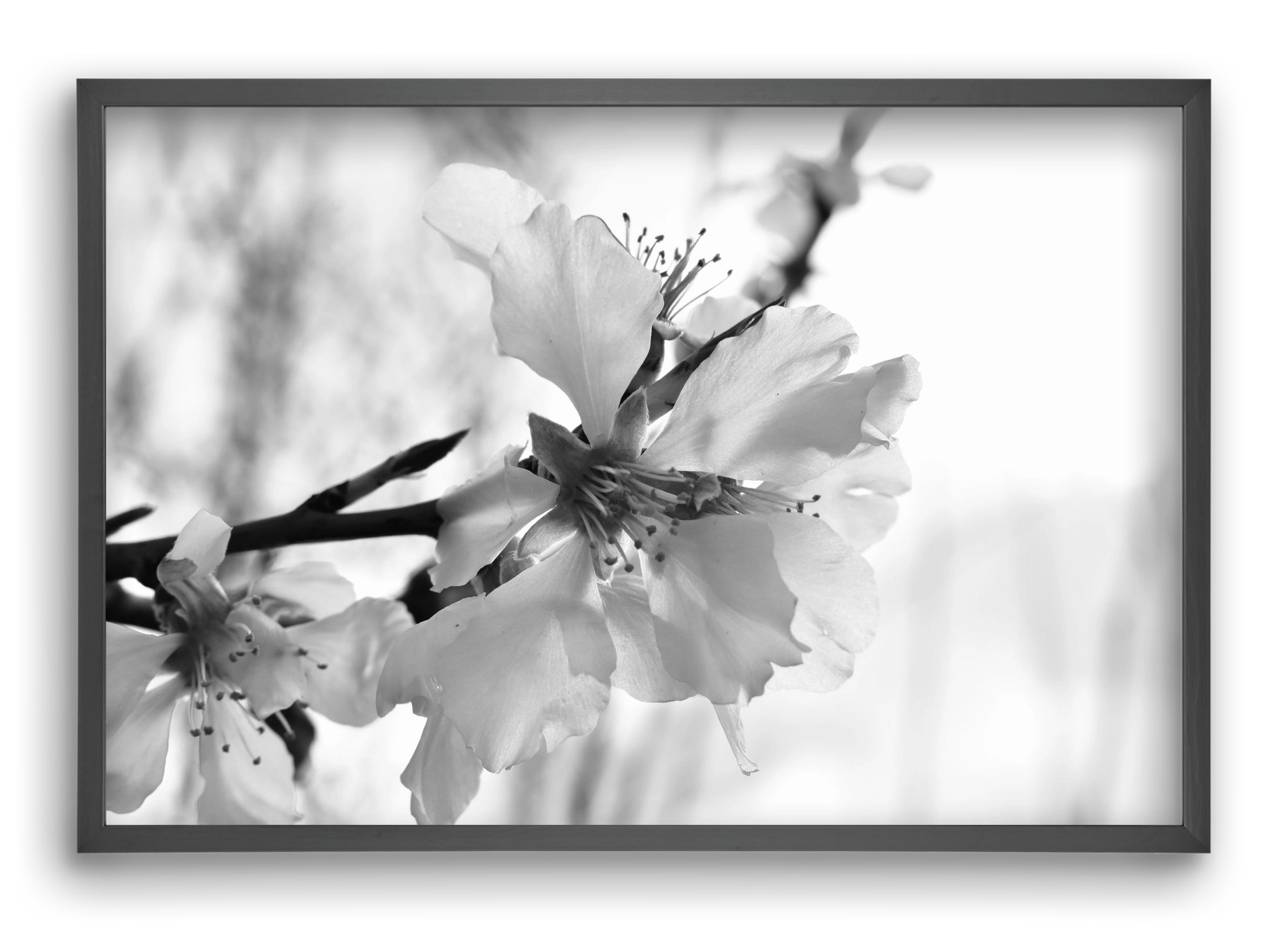 White-handed, 60x40 cm (60x40 cm), Fekete keret