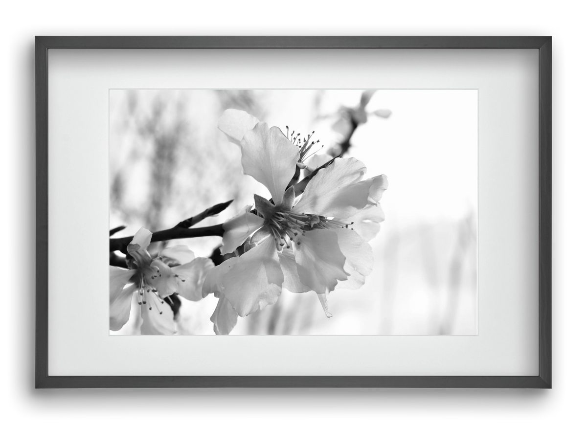 White-handed, 60x40 cm (45x30 cm), Fekete keret, paszpartuval
