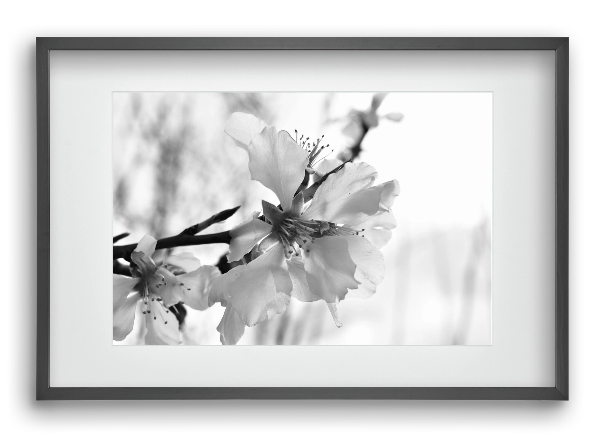 White-handed, 60x40 cm (45x30 cm), Fekete keret, paszpartuval