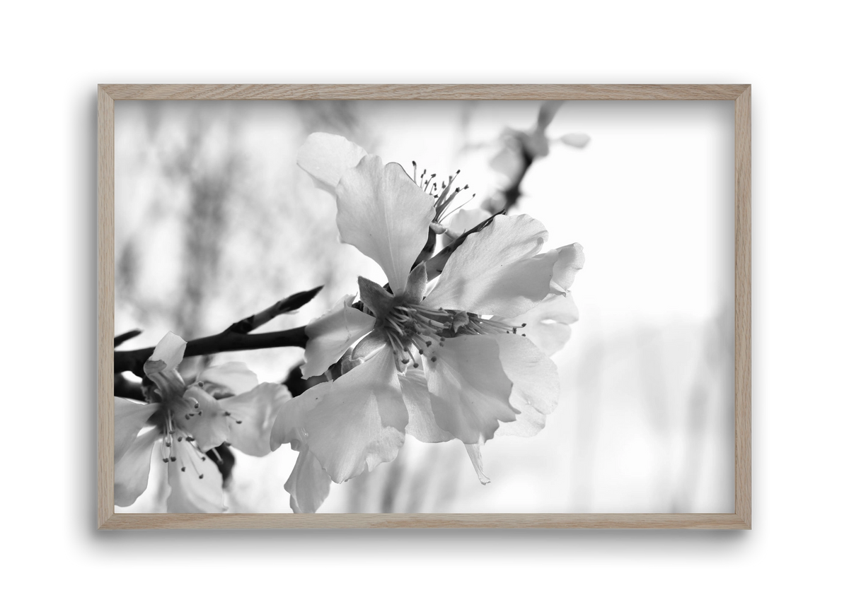 White-handed, 45x30 cm (45x30 cm), Tölgy keret