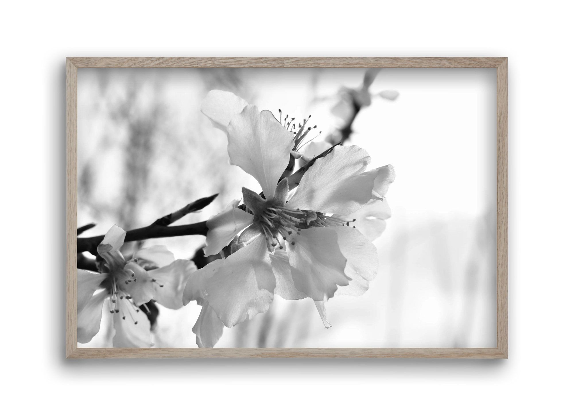 White-handed, 45x30 cm (45x30 cm), Tölgy keret