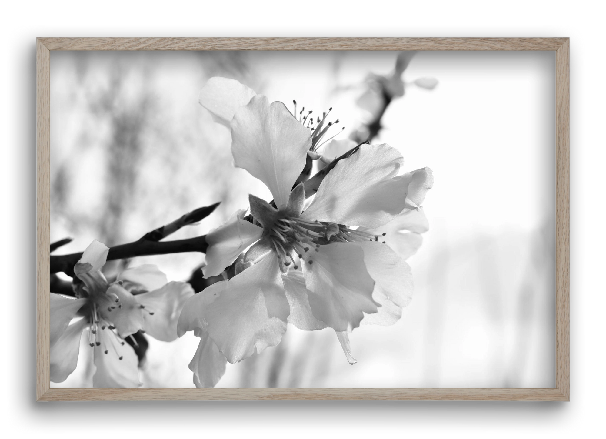 White-handed, 60x40 cm (60x40 cm), Tölgy keret