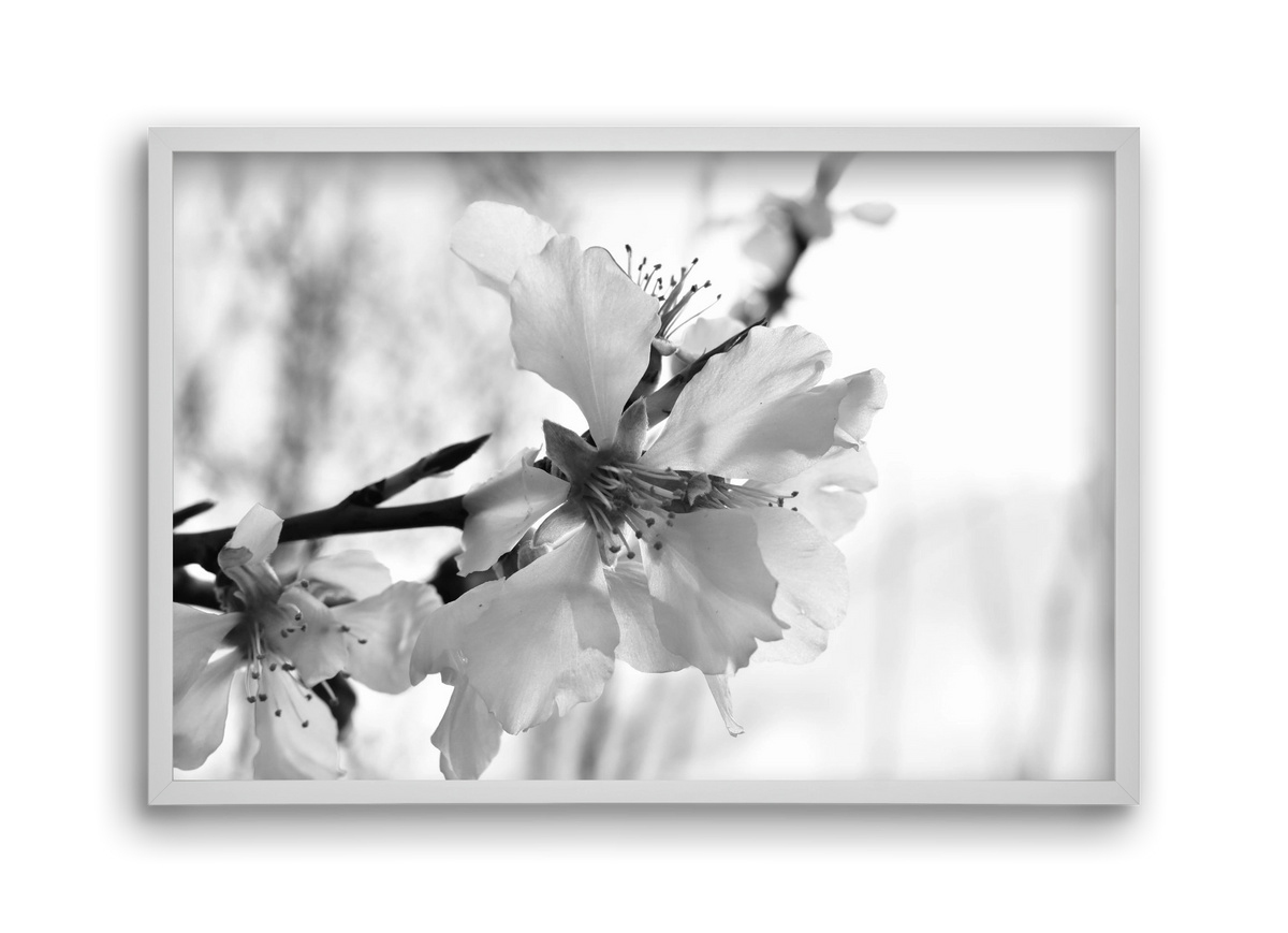 White-handed, 45x30 cm (45x30 cm), Fehér keret