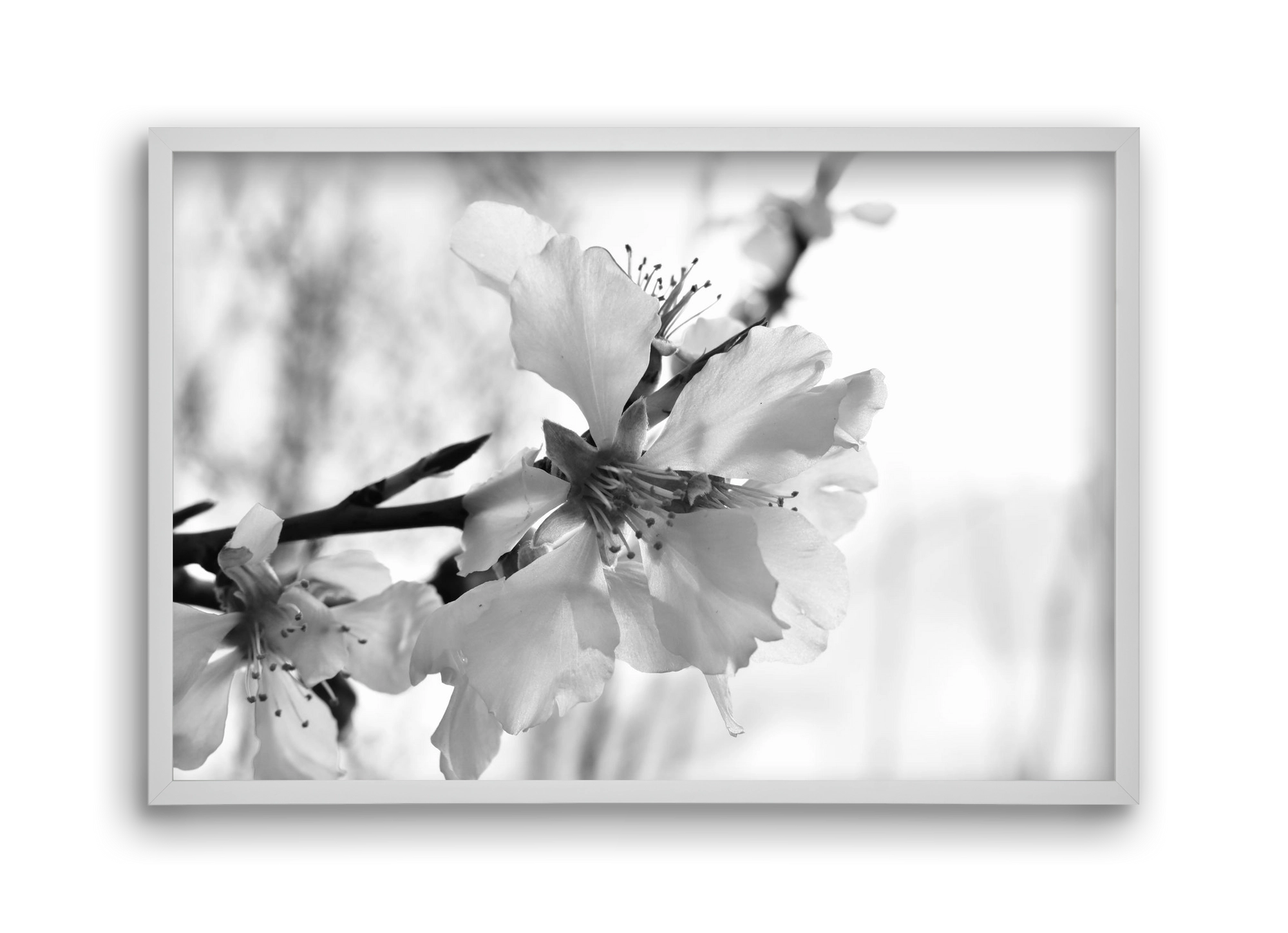 White-handed, 45x30 cm (45x30 cm), Fehér keret