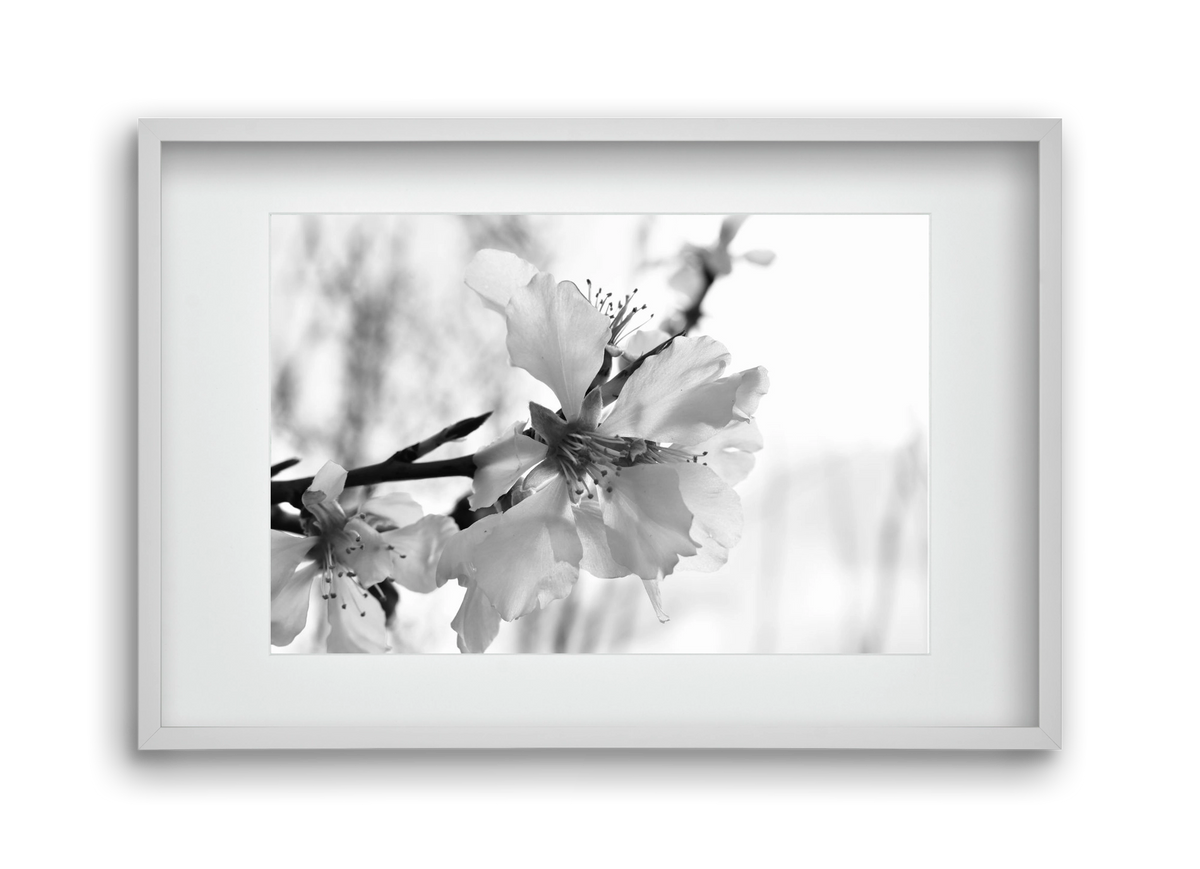 White-handed, 45x30 cm (30x20 cm), Fehér keret, paszpartuval