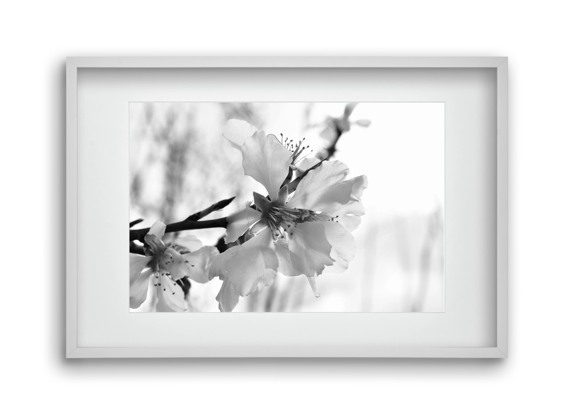 White-handed, 45x30 cm (30x20 cm), Fehér keret, paszpartuval