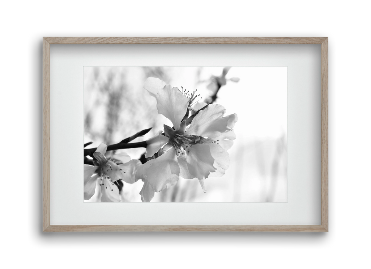 White-handed, 45x30 cm (30x20 cm), Tölgy keret, paszpartuval