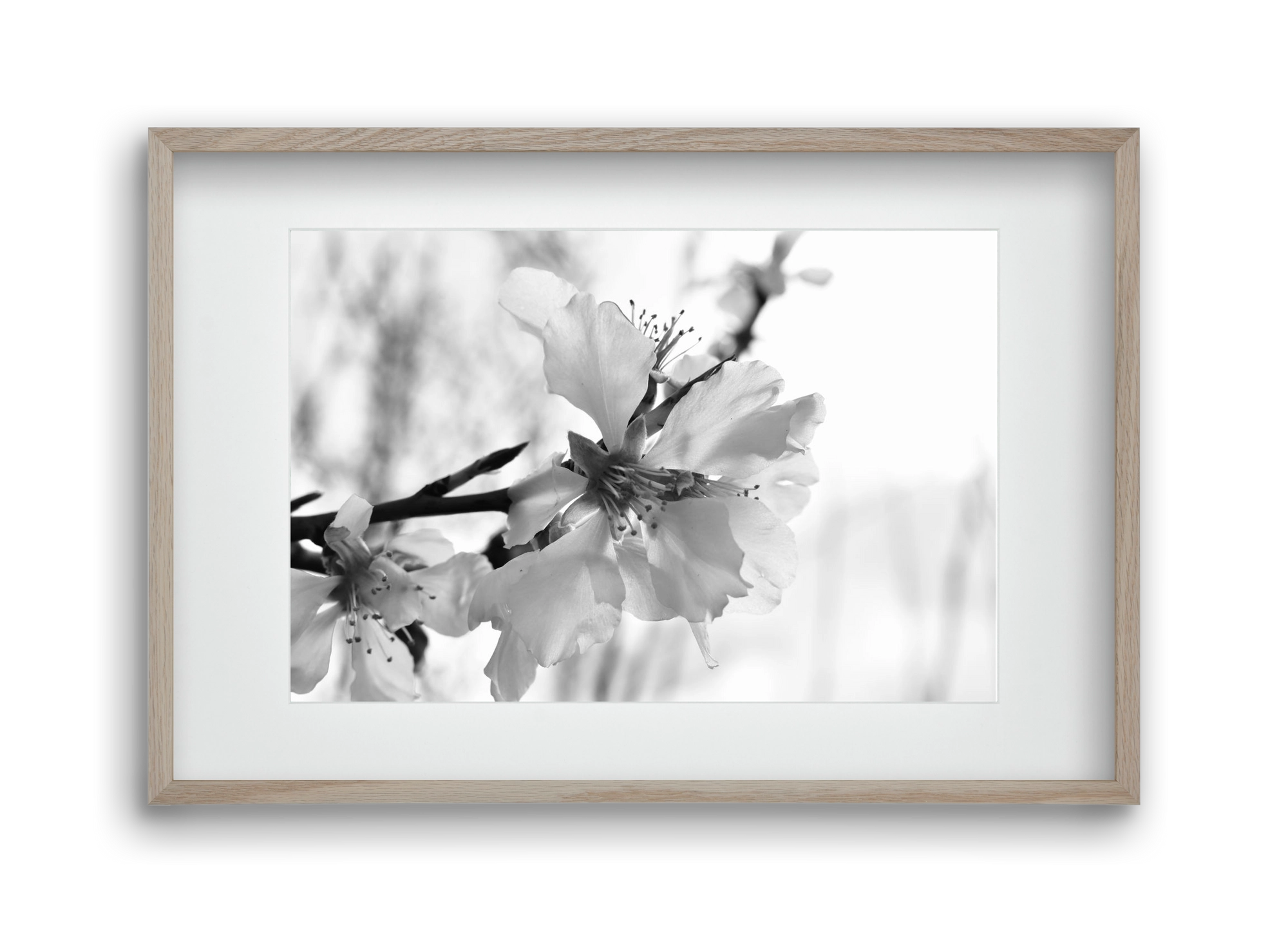 White-handed, 45x30 cm (30x20 cm), Tölgy keret, paszpartuval