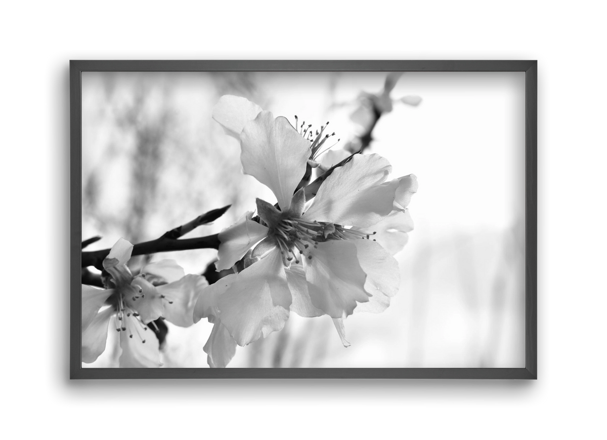 White-handed, 45x30 cm (45x30 cm), Fekete keret