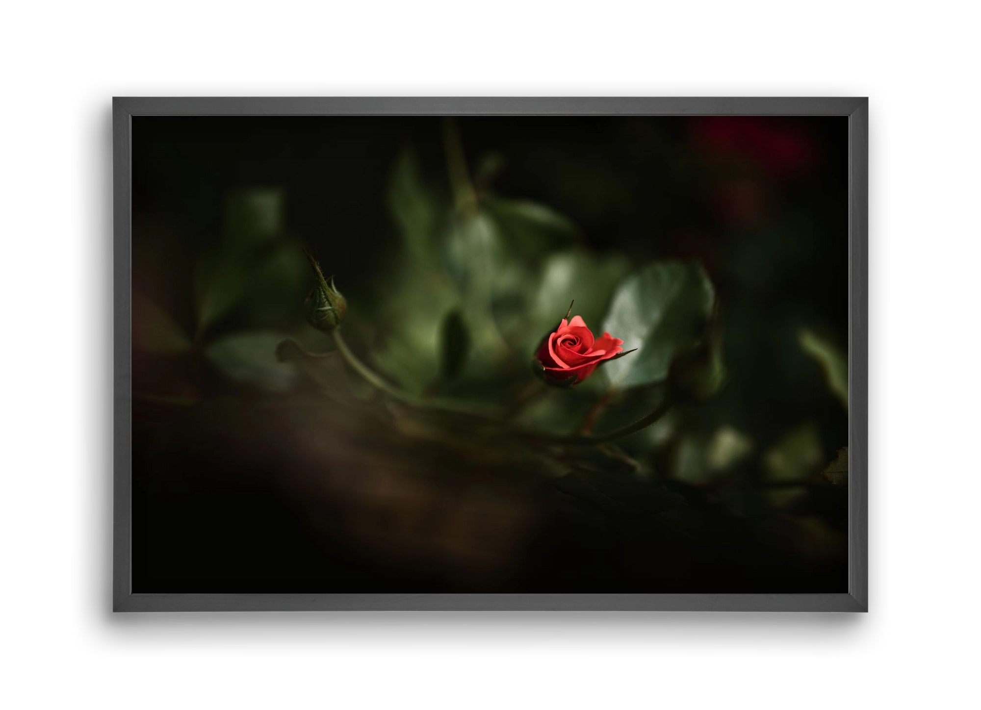 RISING, 45x30 cm (45x30 cm), Fekete keret