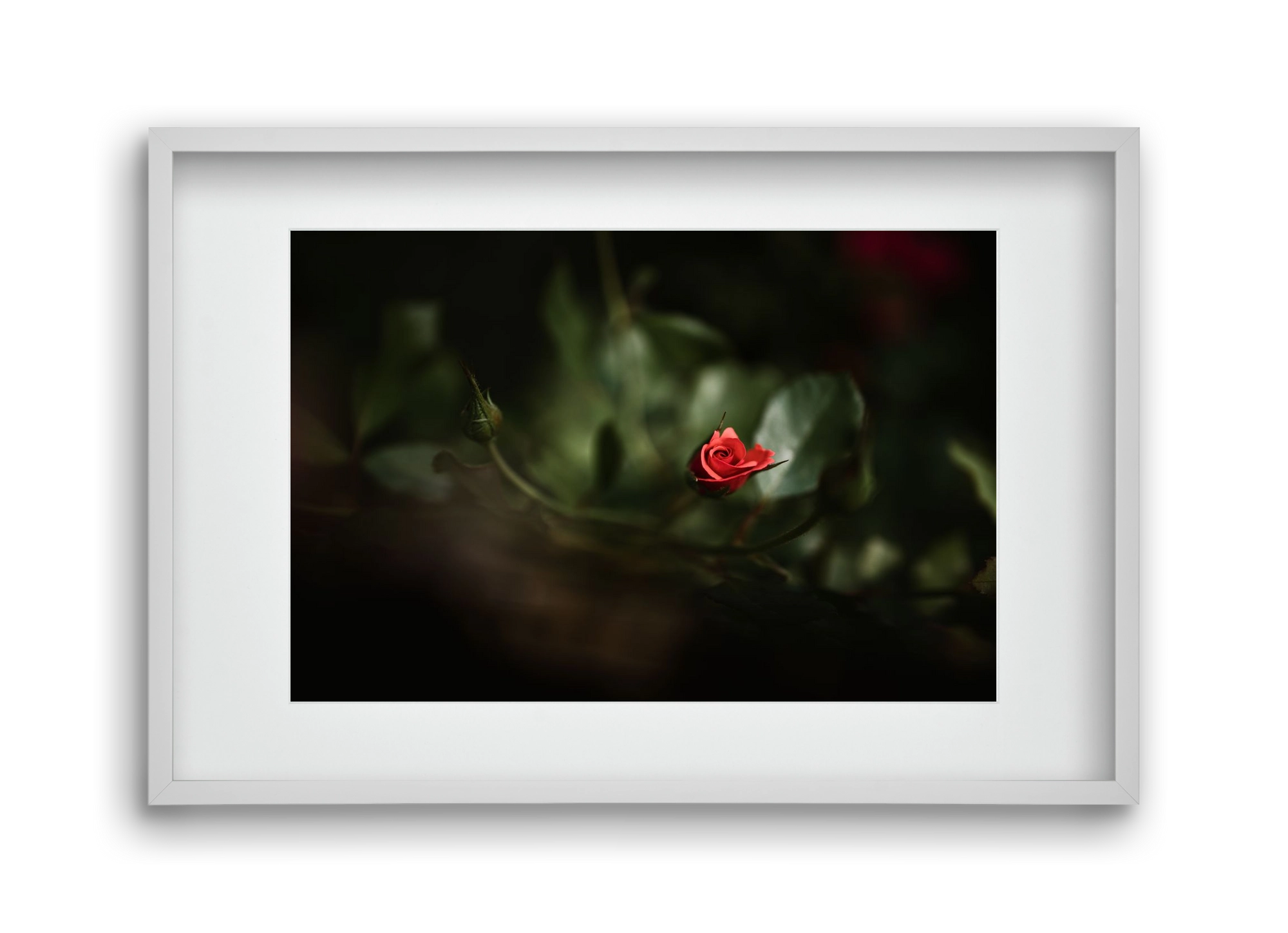 RISING, 45x30 cm (30x20 cm), Fehér keret, paszpartuval