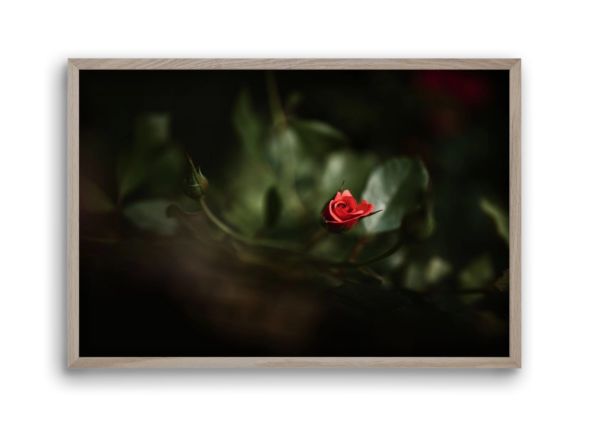 RISING, 45x30 cm (45x30 cm), Tölgy keret