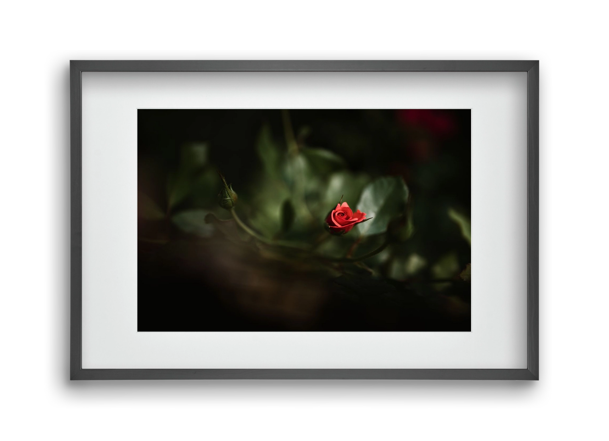RISING, 45x30 cm (30x20 cm), Fekete keret, paszpartuval