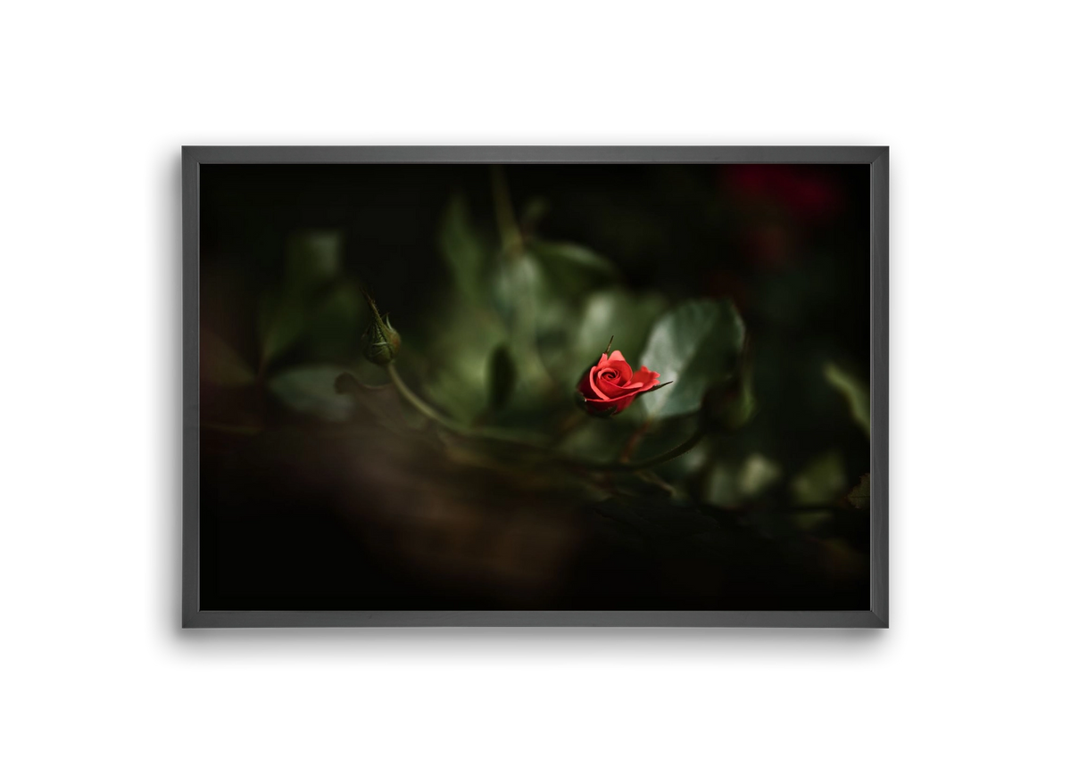 RISING, 30x20 cm (30x20 cm), Fekete keret