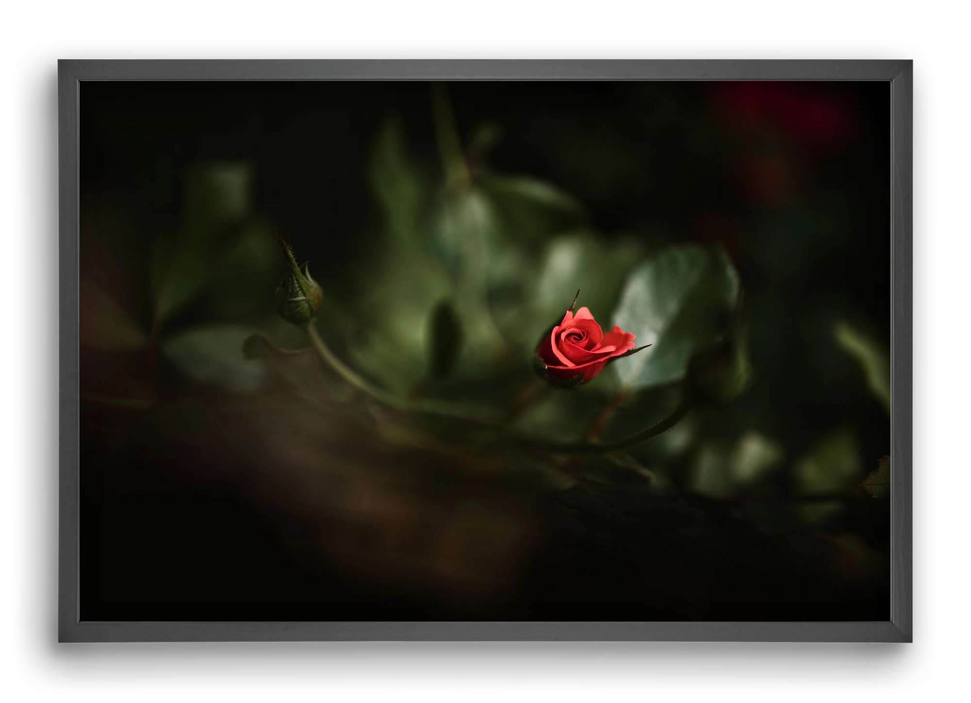 RISING, 60x40 cm (60x40 cm), Fekete keret