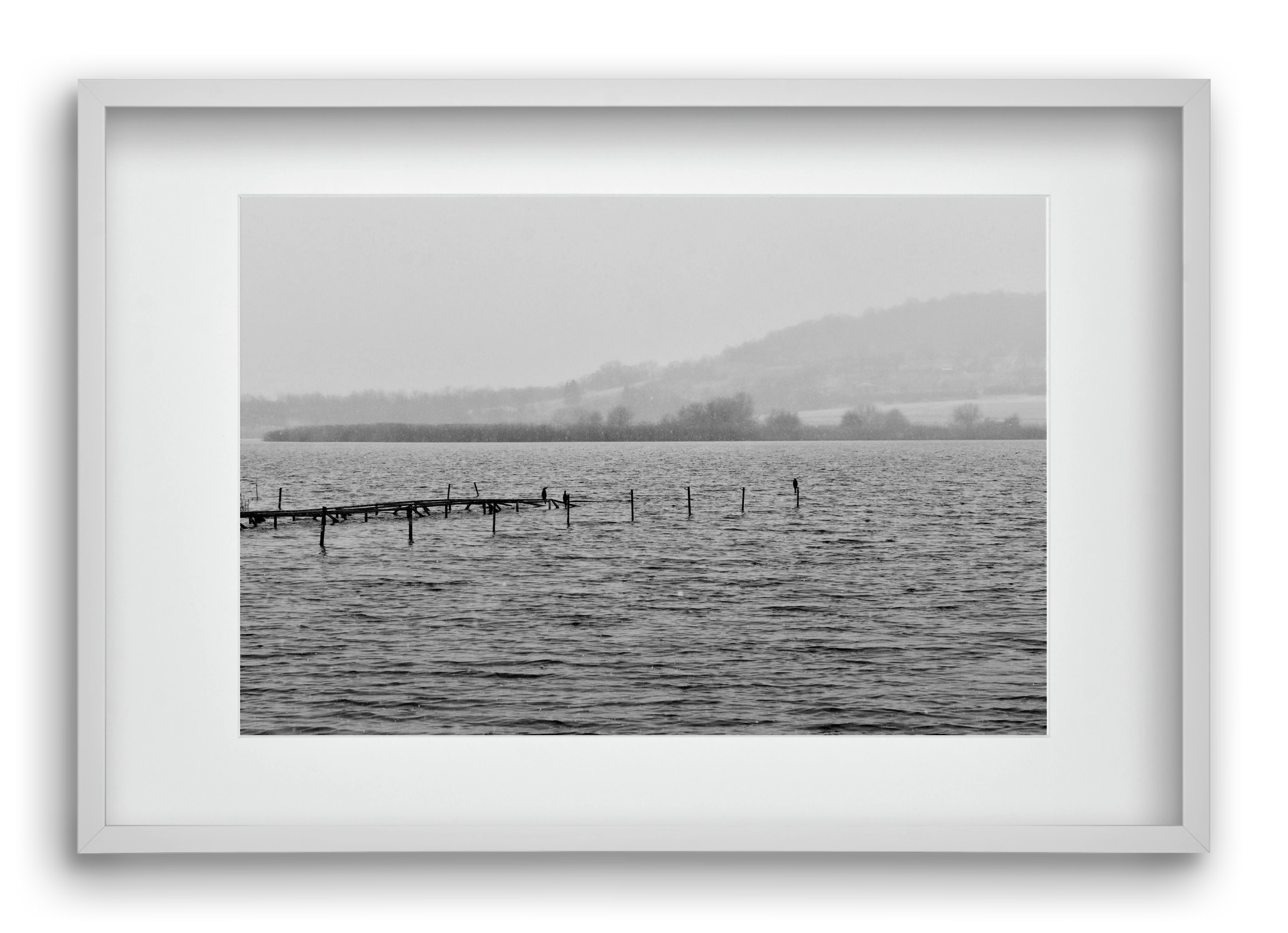 tihanyi Belső-tó, 60x40 cm (45x30 cm), Fehér keret, paszpartuval