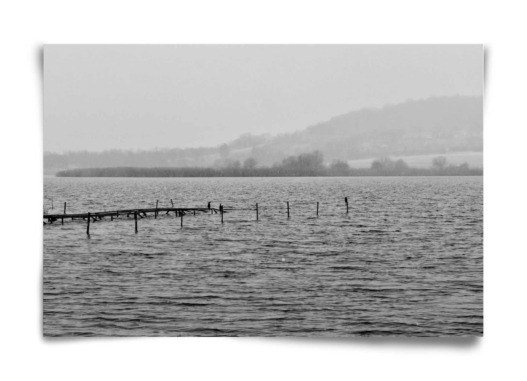 tihanyi Belső-tó, 60x40 cm, Keret nélkül