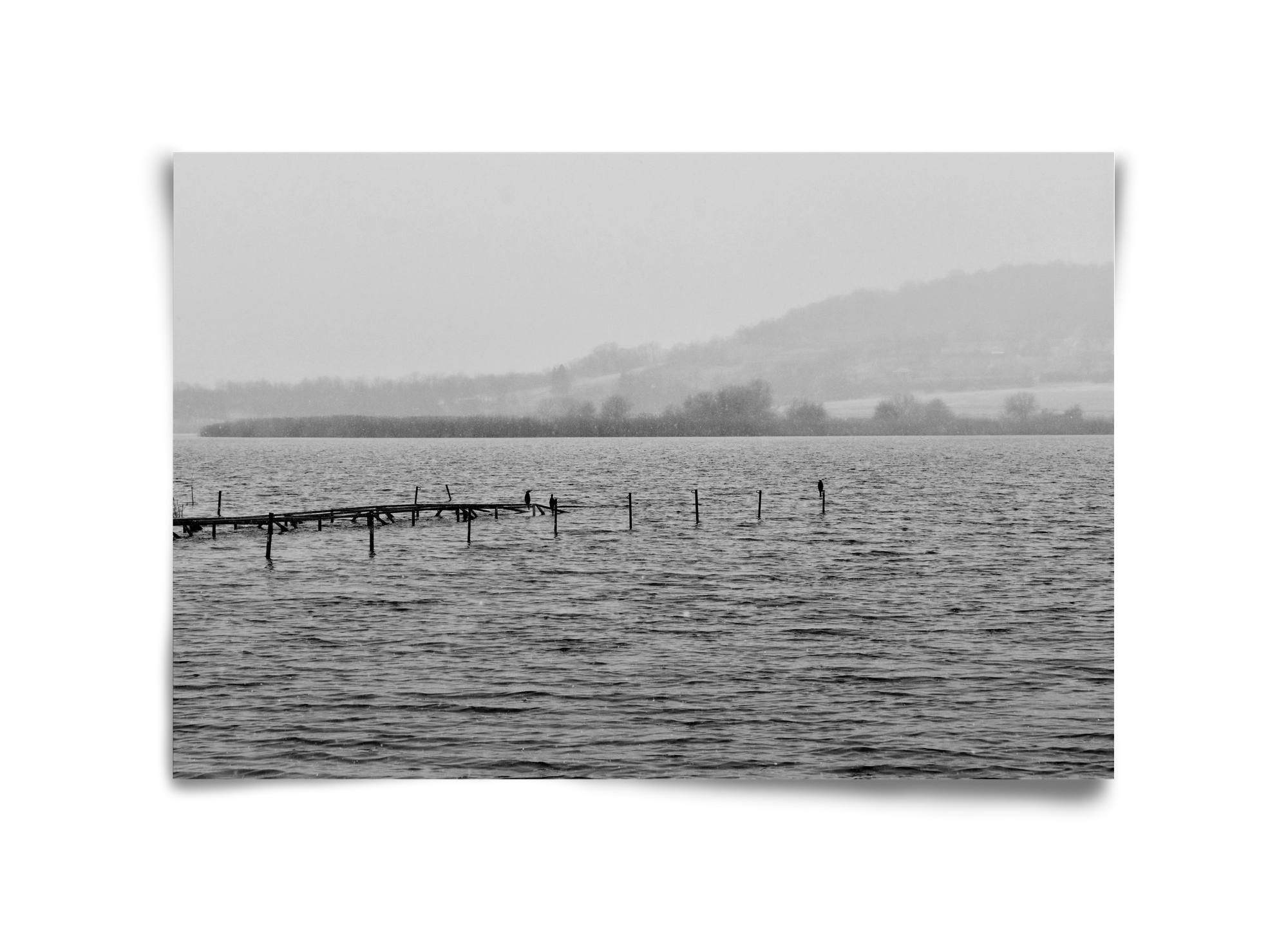 tihanyi Belső-tó, 45x30 cm, Keret nélkül