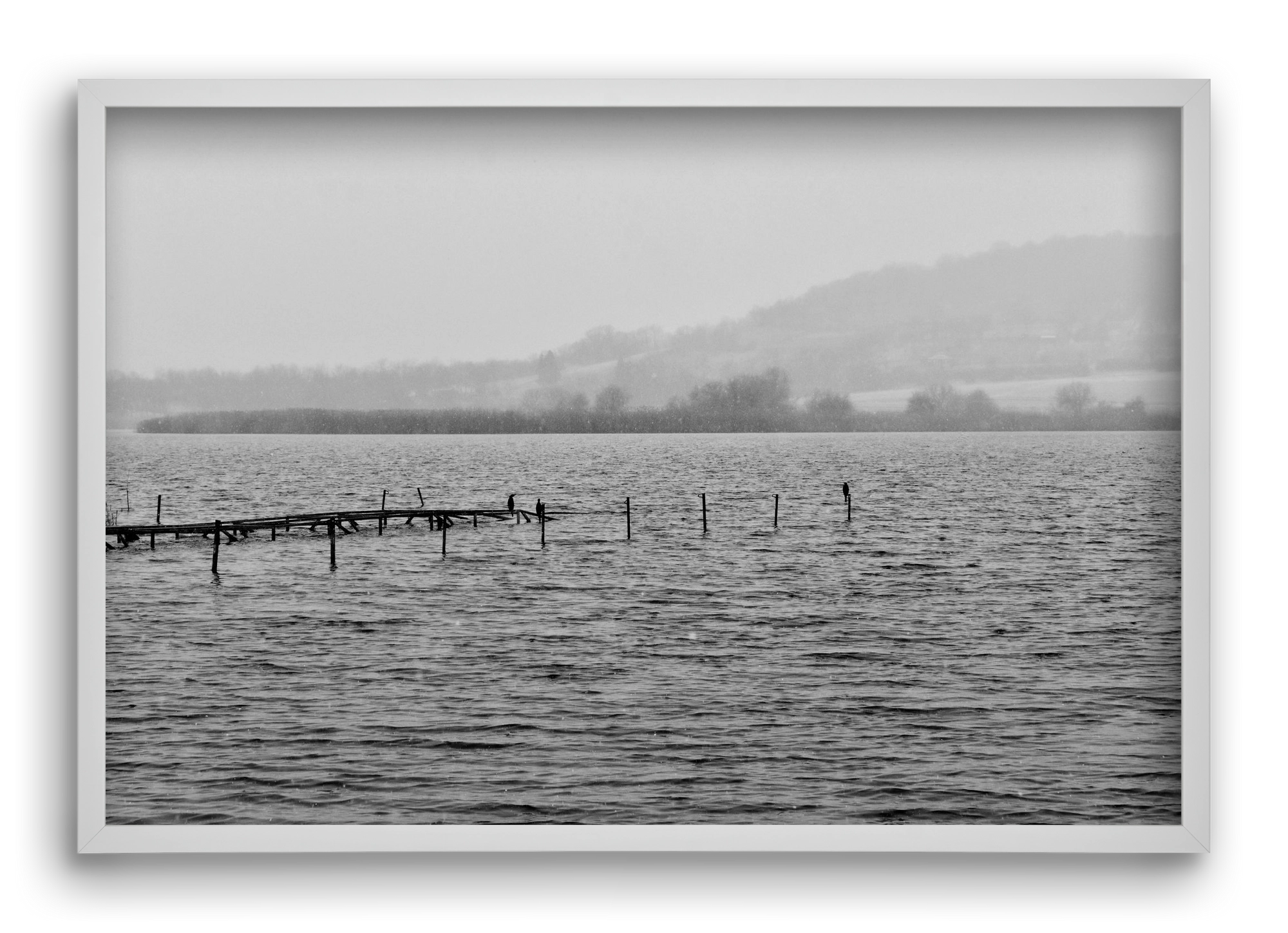 tihanyi Belső-tó, 60x40 cm (60x40 cm), Fehér keret