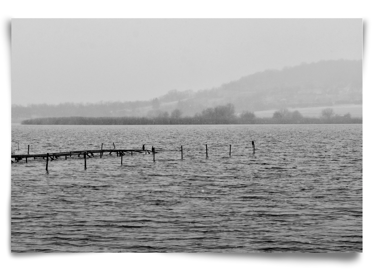 tihanyi Belső-tó, 90x60 cm, Keret nélkül