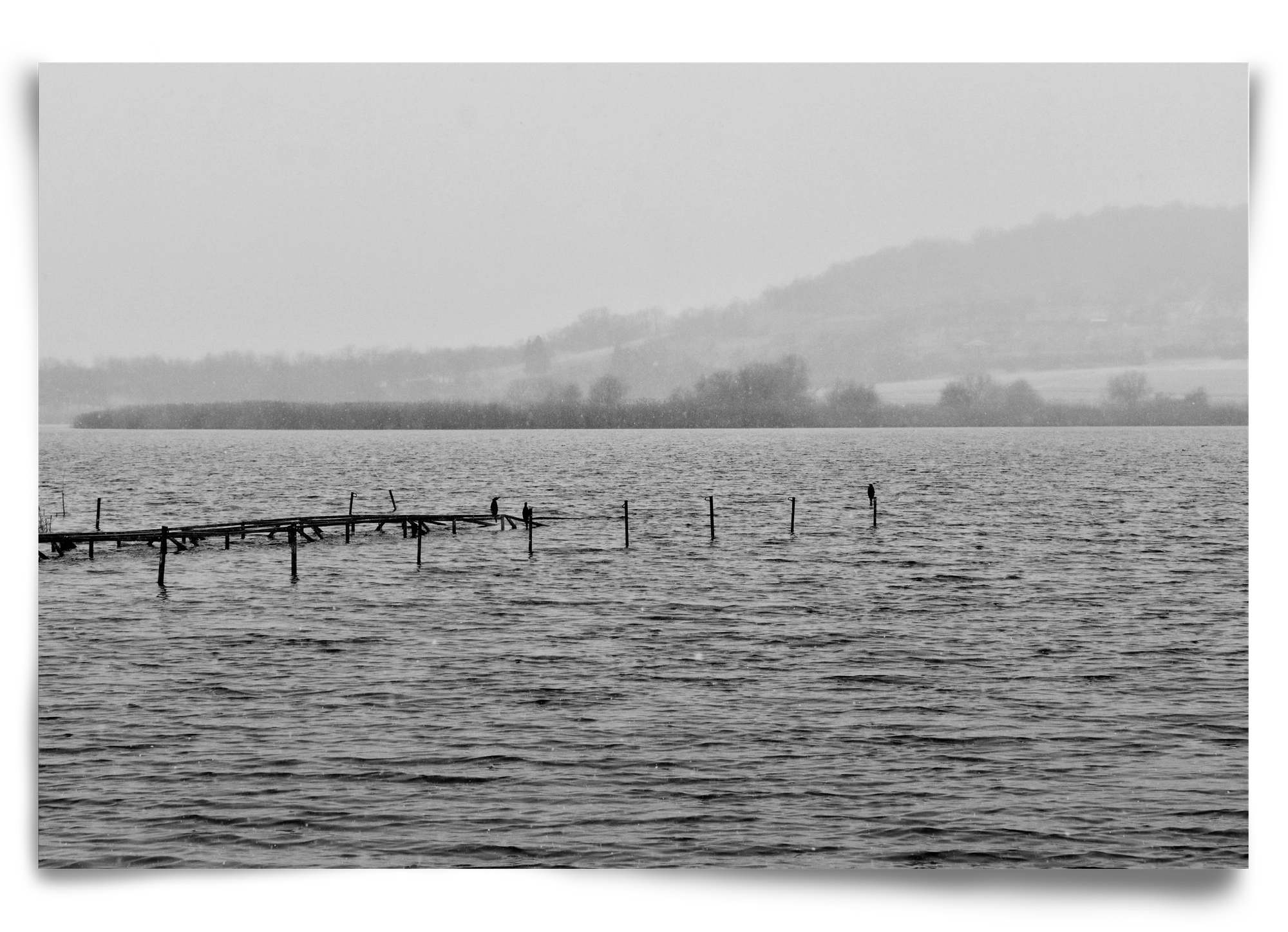 tihanyi Belső-tó, 90x60 cm, Keret nélkül