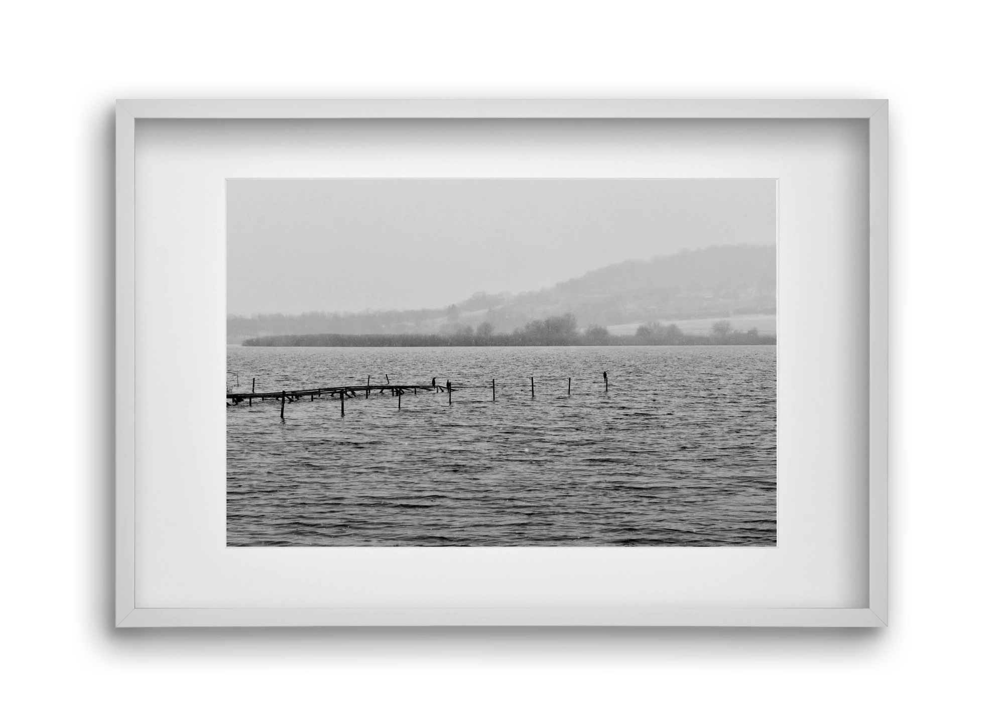tihanyi Belső-tó, 45x30 cm (30x20 cm), Fehér keret, paszpartuval