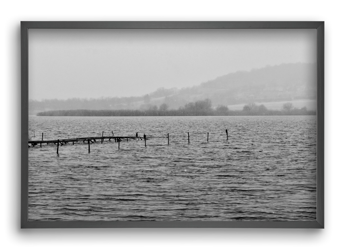 tihanyi Belső-tó, 60x40 cm (60x40 cm), Fekete keret