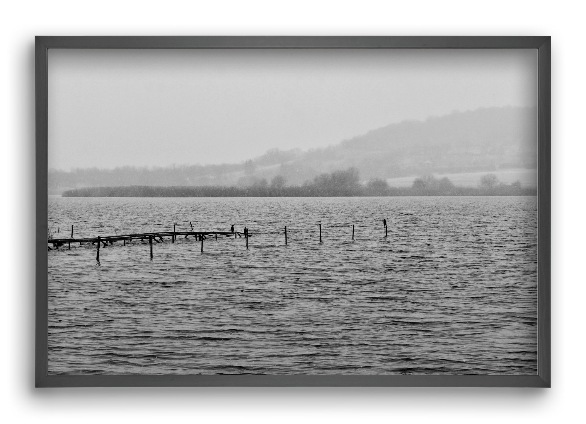 tihanyi Belső-tó, 60x40 cm (60x40 cm), Fekete keret