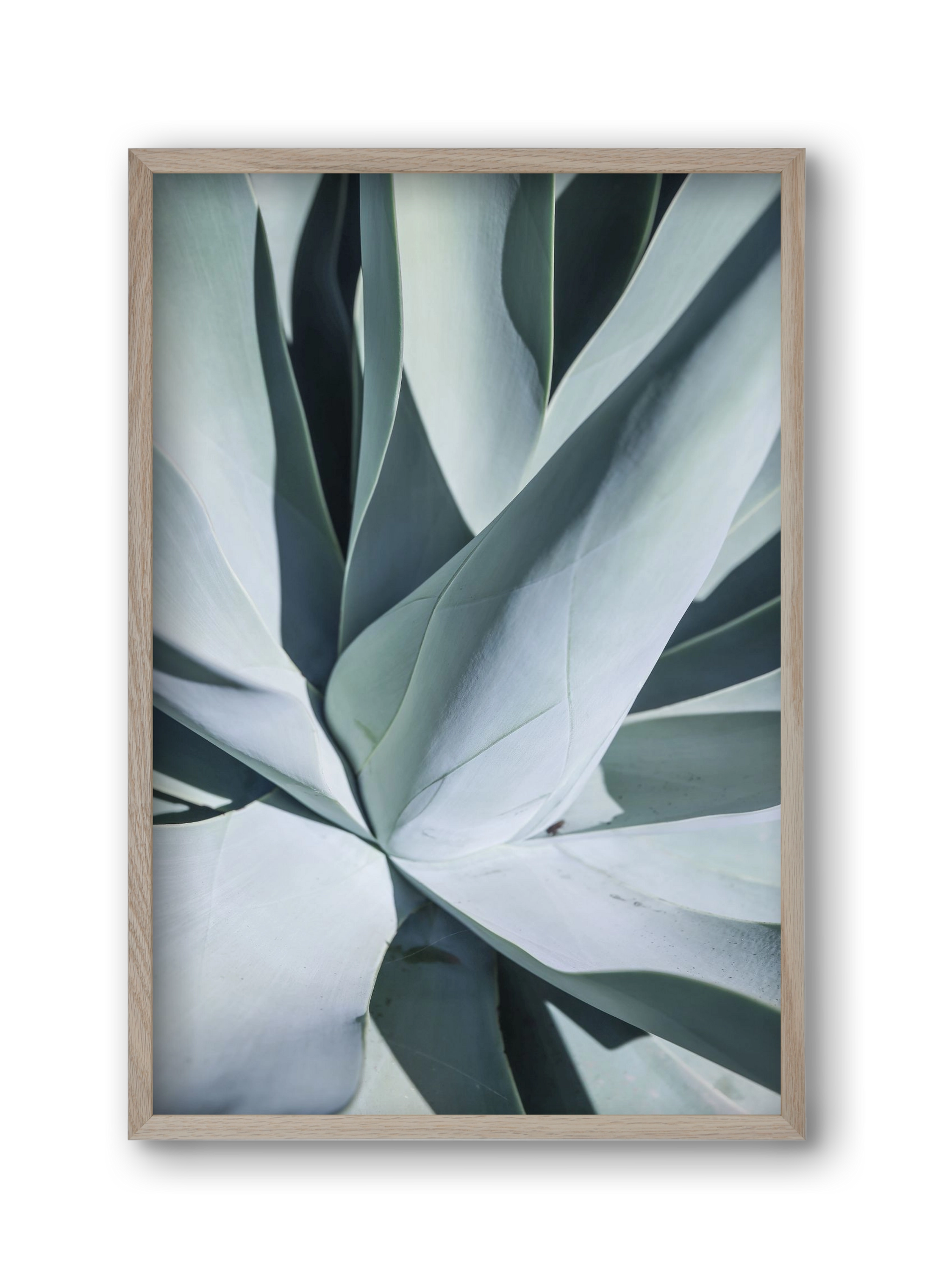 Aqua Cactus, 30x45 cm (30x45 cm), Tölgy keret