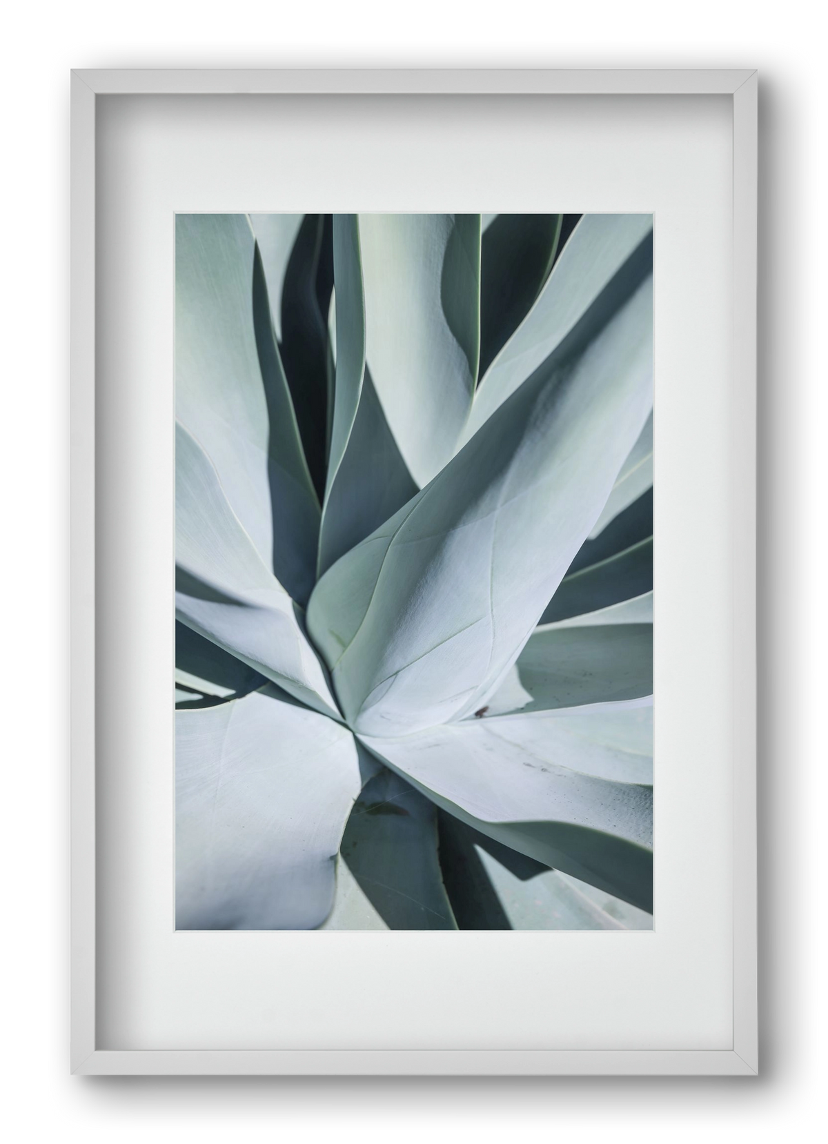 Aqua Cactus, 40x60 cm (30x45 cm), Fehér keret, paszpartuval