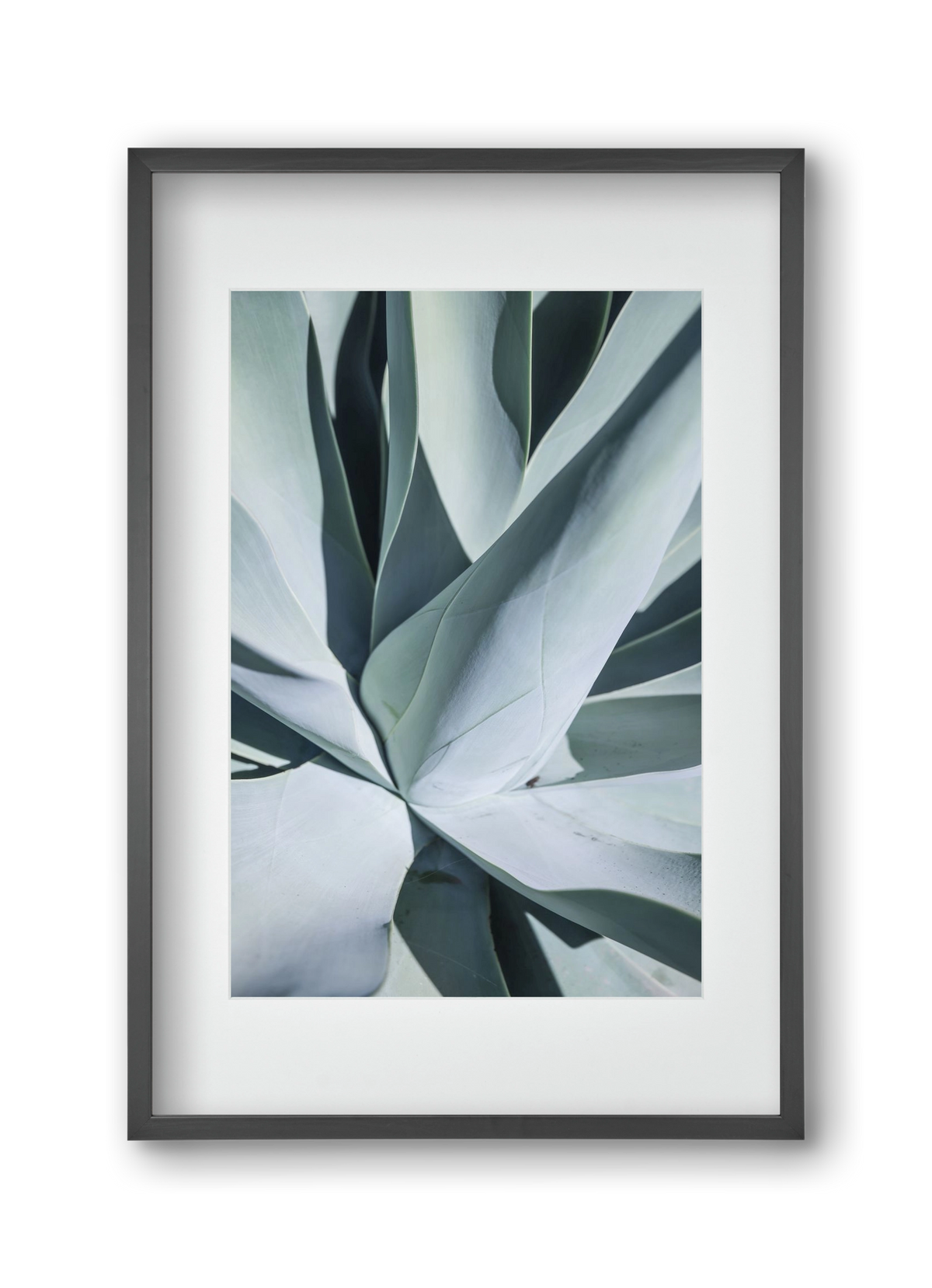 Aqua Cactus, 30x45 cm (20x30 cm), Fekete keret, paszpartuval