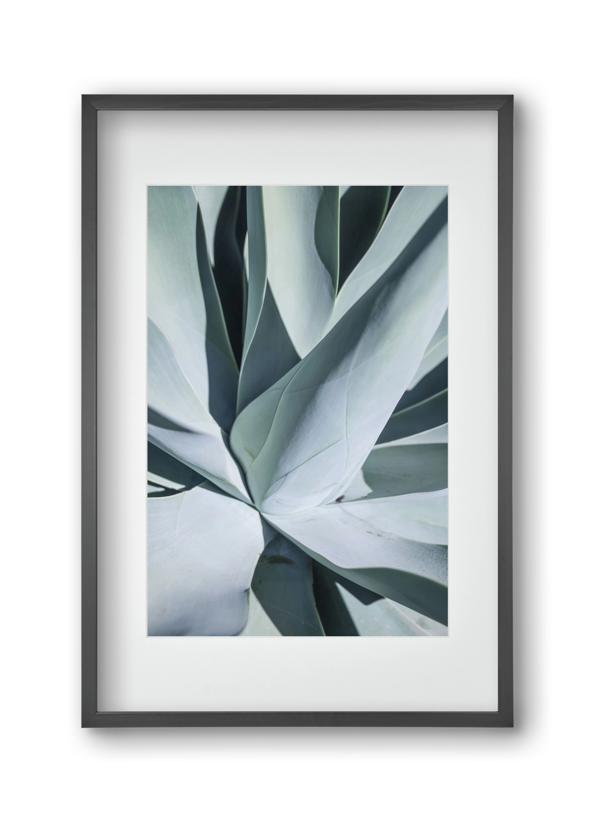 Aqua Cactus, 30x45 cm (20x30 cm), Fekete keret, paszpartuval